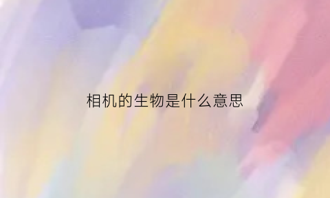 相机的生物是什么意思(相机的s)