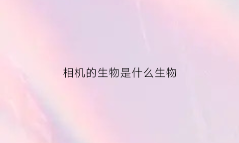 相机的生物是什么生物(相机是什么动物)