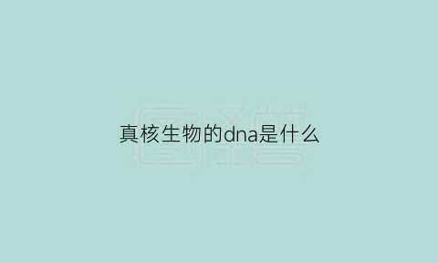 真核生物的dna是什么(真核生物dna-pol)