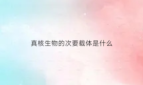 真核生物的次要载体是什么