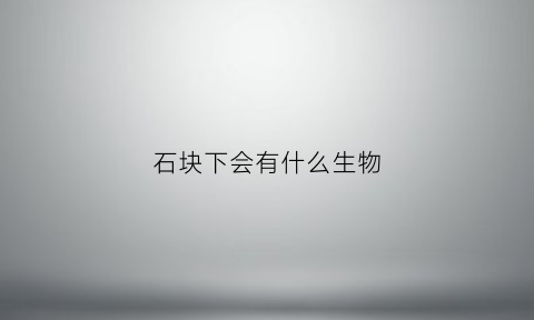 石块下会有什么生物