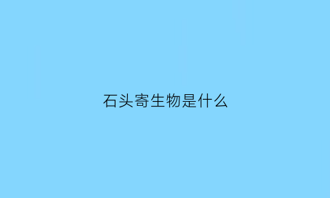 石头寄生物是什么(寄生虫中石头是什么意思)