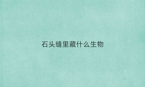 石头缝里藏什么生物(石头缝里有什么动物)