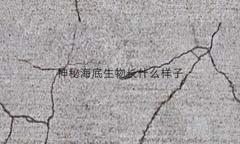 神秘海底生物长什么样子(世界上所有的神秘海底生物的视频)