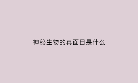 神秘生物的真面目是什么(实拍神秘生物)
