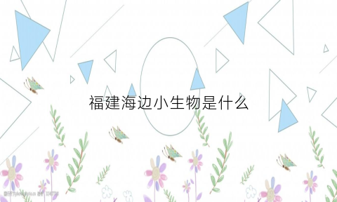 福建海边小生物是什么(福建海边有鲨鱼吗)