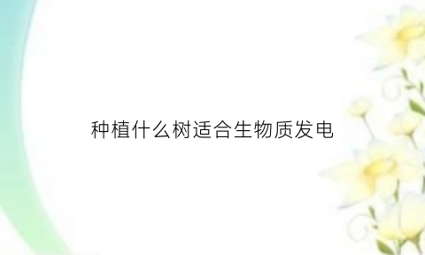 种植什么树适合生物质发电(生物发电用什么原料)