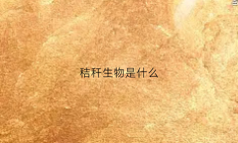 秸秆生物是什么(秸秆生物饲料是什么)