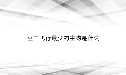 空中飞行最少的生物是什么(空中飞行的飞机)