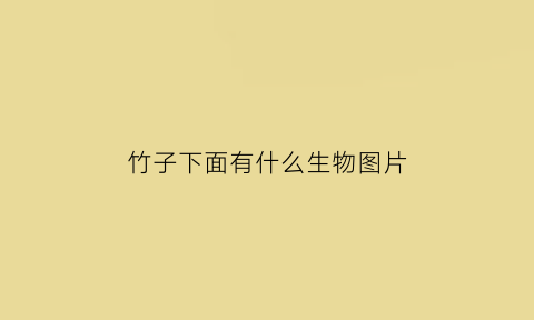 竹子下面有什么生物图片(竹子下面的白色生物是什么)