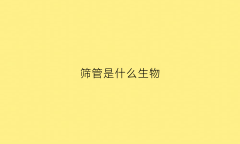 筛管是什么生物(筛管的概念)