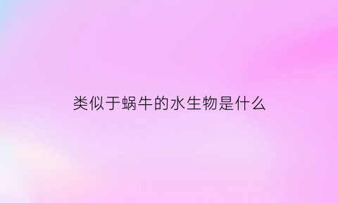 类似于蜗牛的水生物是什么