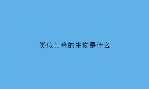 类似黄金的生物是什么(类似黄金的生物是什么动物)