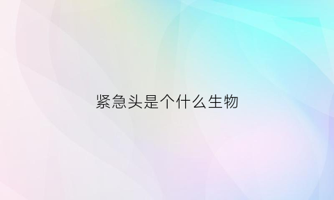 紧急头是个什么生物(紧急头长啥样)