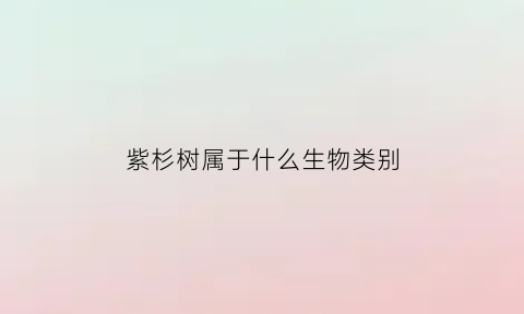 紫杉树属于什么生物类别(紫杉属于什么科的植物)