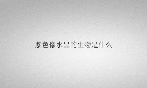 紫色像水晶的生物是什么(紫色的水晶都有哪些品种)