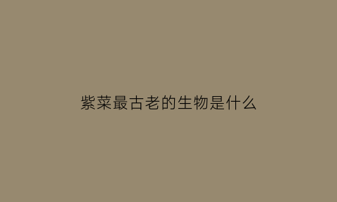 紫菜最古老的生物是什么(紫菜起源于哪个国家)