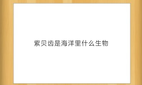 紫贝齿是海洋里什么生物(紫贝齿性状)