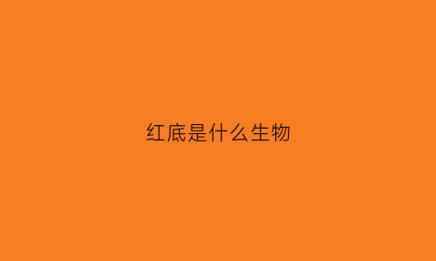 红底是什么生物(红底是什么红)