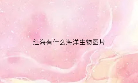 红海有什么海洋生物图片(红海里面有生物吗)