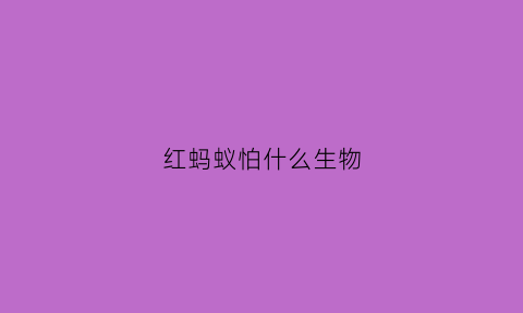 红蚂蚁怕什么生物