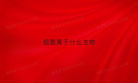 细菌属于什么生物(细菌属于什么生物层次)