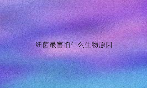 细菌最害怕什么生物原因(细菌最讨厌什么)