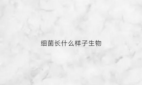 细菌长什么样子生物(细菌长得什么样子呀)