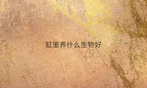 缸里养什么生物好(在缸里养什么水生植物好养)