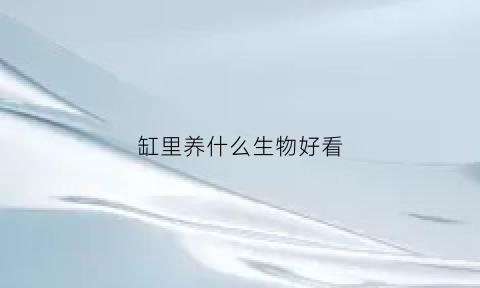 缸里养什么生物好看(缸里养什么鱼比较好养)