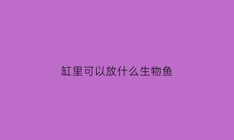 缸里可以放什么生物鱼(缸里可以放什么生物鱼好)