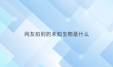 网友拍到的未知生物是什么(未知生物什么意思)