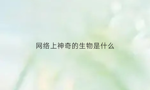 网络上神奇的生物是什么(网络生物有点)
