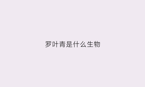 罗叶青是什么生物(罗叶青爵角文化创意有限公司)