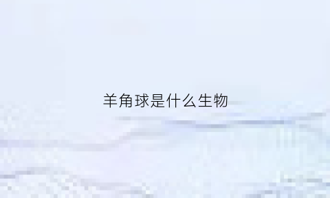 羊角球是什么生物(羊角球是什么生物类型)