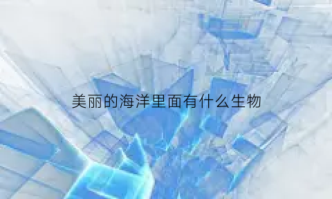 美丽的海洋里面有什么生物(美丽的海洋动物)