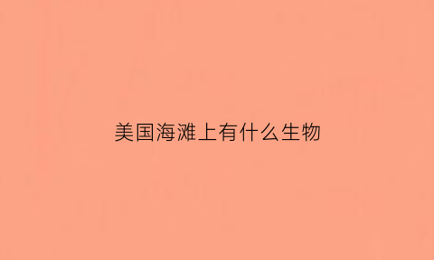 美国海滩上有什么生物(美国的海滩)
