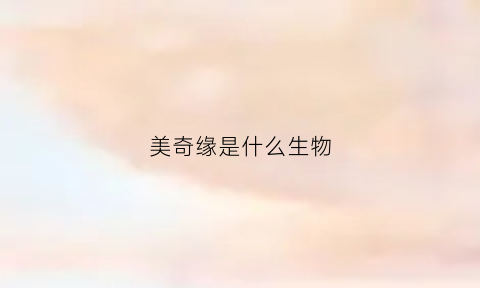 美奇缘是什么生物(美奇是什么意思)