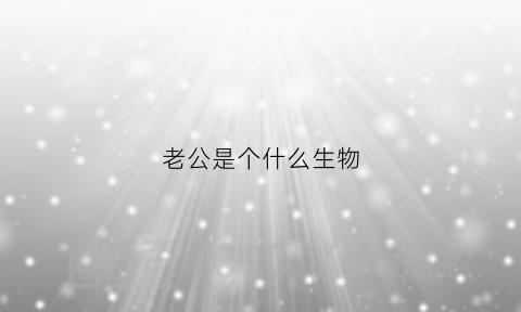 老公是个什么生物(老公是个什么物种)