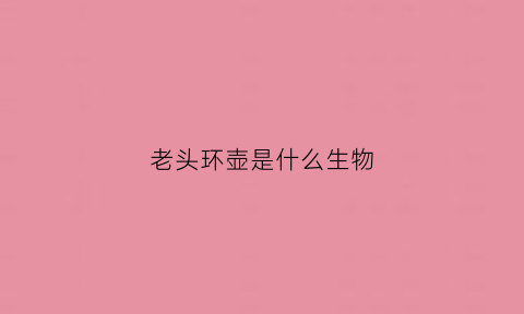 老头环壶是什么生物(老头环新消息)