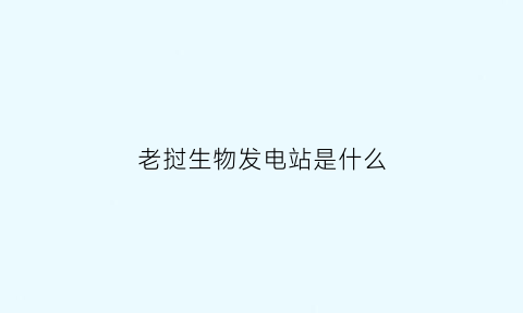 老挝生物发电站是什么(老挝生物发电站是什么时候建的)