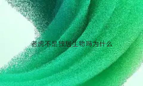 老虎不是独居生物吗为什么(老虎是单独还是群居)