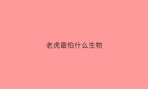 老虎最怕什么生物(老虎最怕是什么)