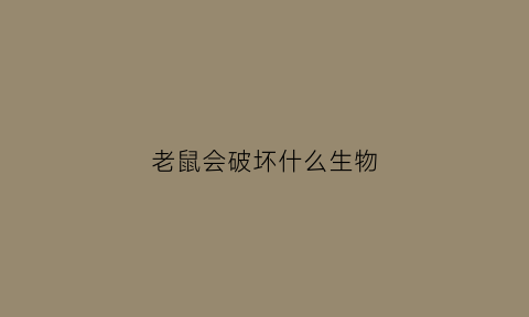 老鼠会破坏什么生物(老鼠破坏力有多大)