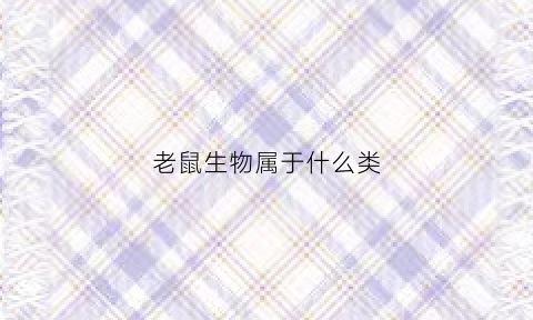 老鼠生物属于什么类(老鼠是什么生物类群)