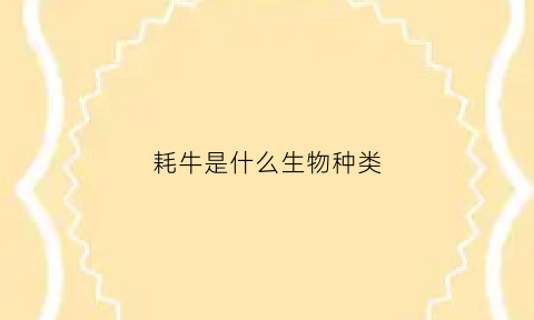 耗牛是什么生物种类(耗牛的生物学特性是什么)