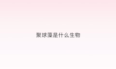 聚球藻是什么生物