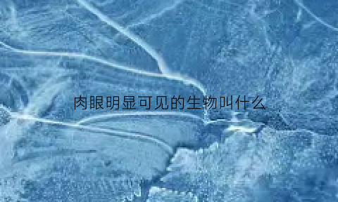 肉眼明显可见的生物叫什么(肉眼可见的细胞有哪些)