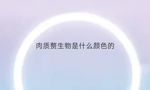 肉质赘生物是什么颜色的(肉赘什么样子)