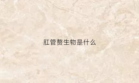 肛管赘生物是什么(肛管赘生物是什么意思图片)